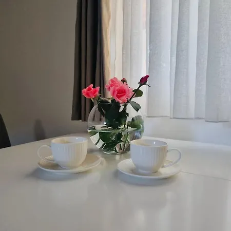 Matija Airport Apartment