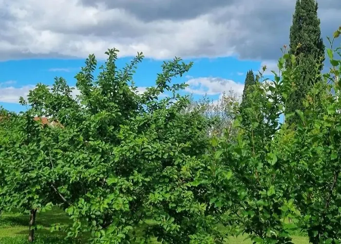 Matija Airport Daire Podgoriçe